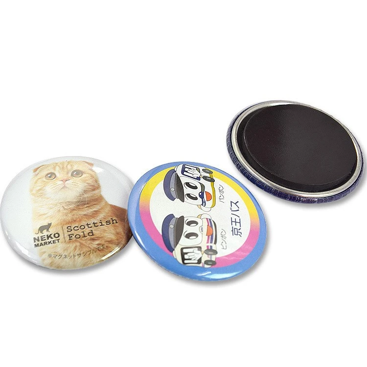 tin plate fridge magnet (8)
