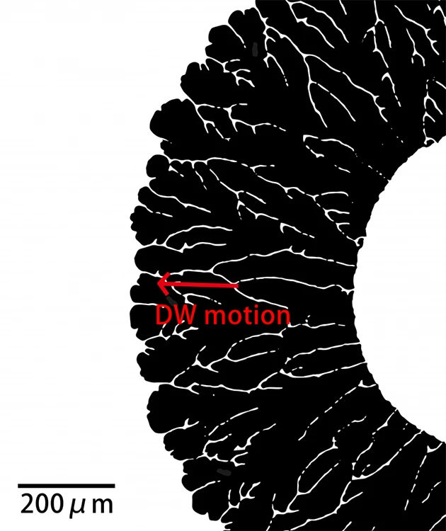 Magnetic Domain Imaging Effects in Perpendicularly Anisotropic Magnetic Films 1 nm Thick