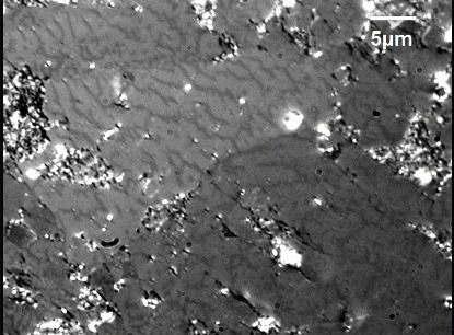 Magnetic domains on the surface of permanent magnet NdFeB bulk