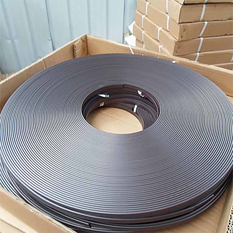 Magnetic strip extruder 4