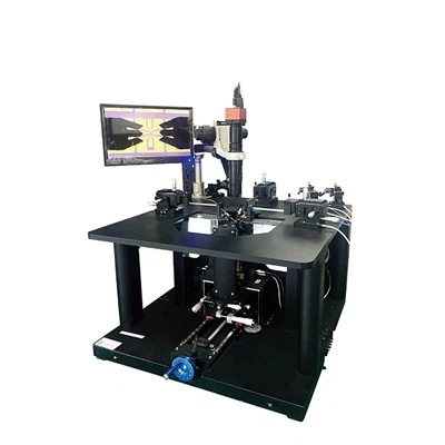 Two-dimensional Magnetic Field Probe Station